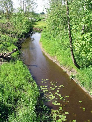 Maakond: Pärnumaa Veekogu nimi: Ridalepa oja Pildistamise aeg: 28. mai 2009 Pildistaja: H. Timm Pildistamise koht: teadmata Asimuut: