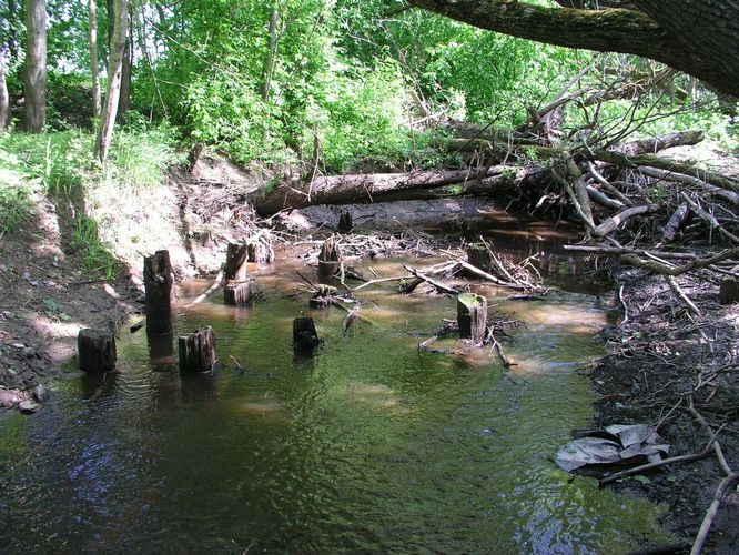 Maakond: Pärnumaa Veekogu nimi: Ridalepa oja Pildistamise aeg: 28. mai 2009 Pildistaja: H. Timm Pildistamise koht: teadmata Asimuut: