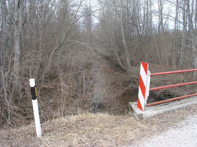 Maakond: Läänemaa Veekogu nimi: Riguldi jõgi Pildistamise aeg: 19. aprill 2006 Pildistaja: H. Timm Pildistamise koht: teadmata Asimuut: