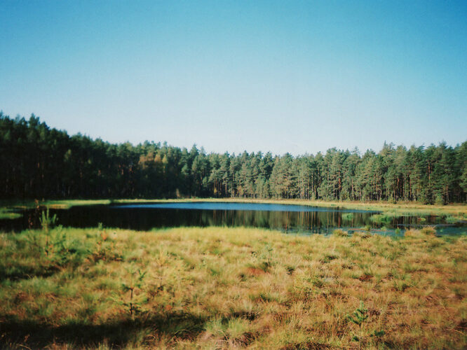 Maakond: Põlvamaa Veekogu nimi: Rihäjärv Pildistamise aeg: 23. september 2008 Pildistaja: Asta Pintsaar Pildistamise koht: idakaldalt Asimuut: