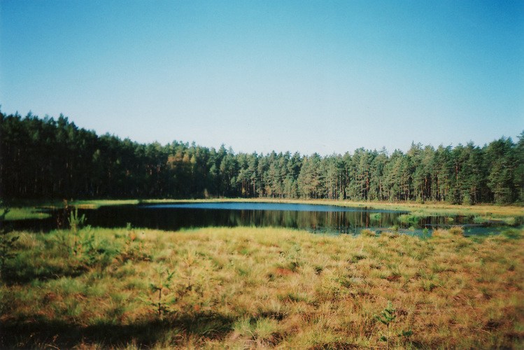 Maakond: Põlvamaa Veekogu nimi: Rihäjärv Pildistamise aeg: 23. september 2008 Pildistaja: Asta Pintsaar Pildistamise koht: idakaldalt Asimuut: