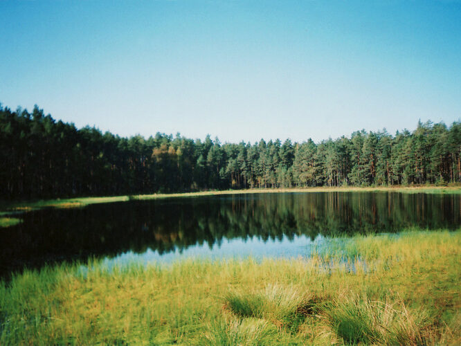 Maakond: Põlvamaa Veekogu nimi: Rihajärv Pildistamise aeg: 23. september 2008 Pildistaja: Asta Pintsaar Pildistamise koht: teadmata Asimuut: