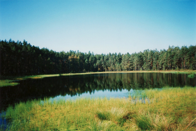 Maakond: Põlvamaa Veekogu nimi: Rihajärv Pildistamise aeg: 23. september 2008 Pildistaja: Asta Pintsaar Pildistamise koht: teadmata Asimuut: