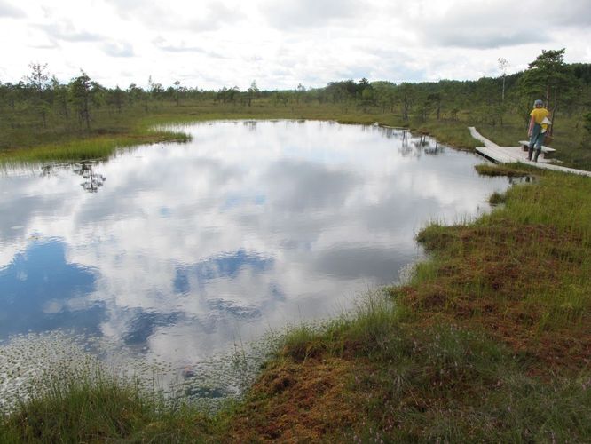 Maakond: Pärnumaa Veekogu nimi: Riisa raba laugas Pildistamise aeg: 20. august 2012 Pildistaja: H. Timm Pildistamise koht: teadmata Asimuut: