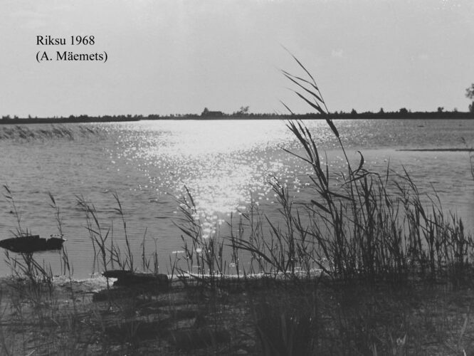 Maakond: Saaremaa Veekogu nimi: Riksu laht Pildistamise aeg: 1968 Pildistaja: A. Mäemets Pildistamise koht: teadmata Asimuut: