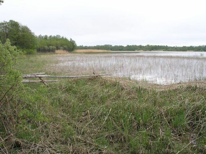 Maakond: Saaremaa Veekogu nimi: Riksu laht Pildistamise aeg: 29. mai 2006 Pildistaja: H. Timm Pildistamise koht: teadmata Asimuut: