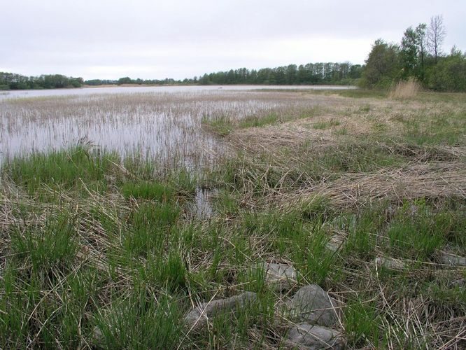 Maakond: Saaremaa Veekogu nimi: Riksu laht Pildistamise aeg: 29. mai 2006 Pildistaja: H. Timm Pildistamise koht: teadmata Asimuut: