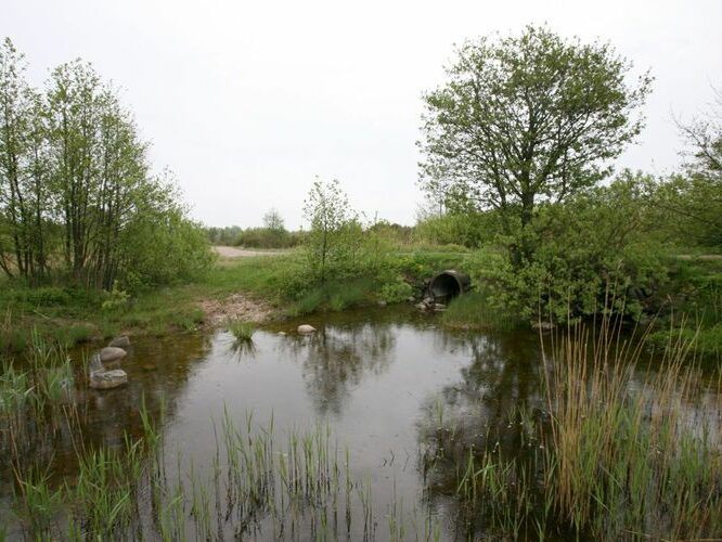 Maakond: Saaremaa Veekogu nimi: Riksu oja Pildistamise aeg: 27. mai 2009 Pildistaja: H. Timm Pildistamise koht: alamjooks Asimuut: