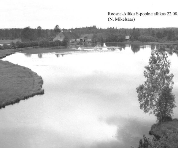 Maakond: Järvamaa Veekogu nimi: Roosna-Alliku S-poolne allikas Pildistamise aeg: 22. august 1955 Pildistaja: N. Mikelsaar Pildistamise koht: teadmata Asimuut: