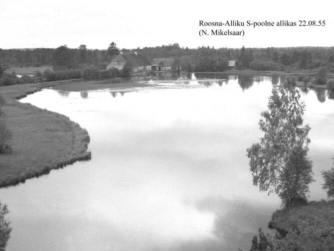 Maakond: Järvamaa Veekogu nimi: Roosna-Alliku S-poolne allikas Pildistamise aeg: 22. august 1955 Pildistaja: N. Mikelsaar Pildistamise koht: teadmata Asimuut: