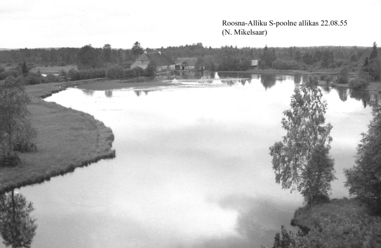 Maakond: Järvamaa Veekogu nimi: Roosna-Alliku S-poolne allikas Pildistamise aeg: 22. august 1955 Pildistaja: N. Mikelsaar Pildistamise koht: teadmata Asimuut: