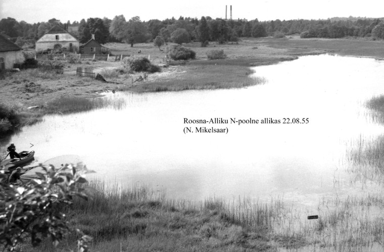 Maakond: Järvamaa Veekogu nimi: Roosna-Alliku N-poolne allikas Pildistamise aeg: 22. august 1955 Pildistaja: N. Mikelsaar Pildistamise koht: teadmata Asimuut: