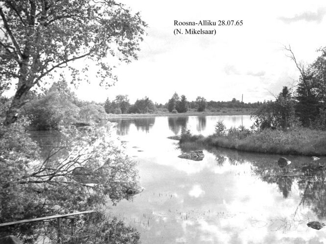 Maakond: Järvamaa Veekogu nimi: Roosna-Alliku allikas Pildistamise aeg: 28. juuli 1965 Pildistaja: N. Mikelsaar Pildistamise koht: teadmata Asimuut: