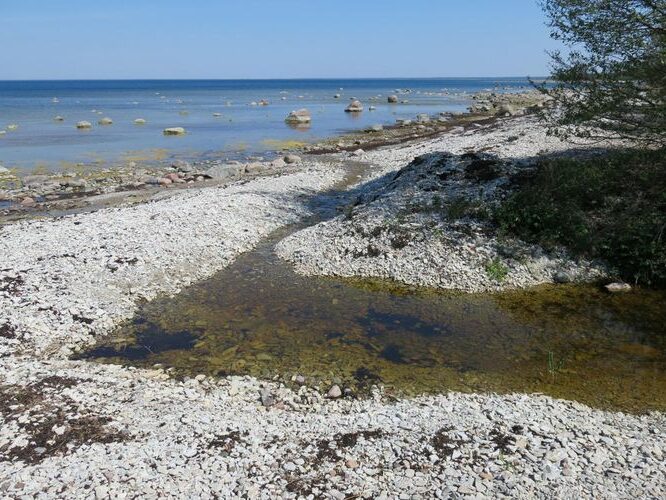 Maakond: Saaremaa Veekogu nimi: Rossa oja Pildistamise aeg: 23. mai 2014 Pildistaja: H. Timm Pildistamise koht: suue Asimuut: