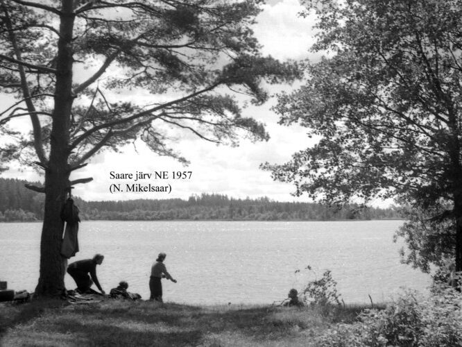 Maakond: Jõgevamaa Veekogu nimi: Saadjärv Pildistamise aeg: 1957 Pildistaja: N. Mikelsaar Pildistamise koht: E kaldalt Asimuut: W