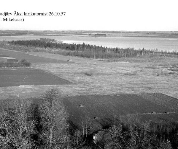 Maakond: Jõgevamaa Veekogu nimi: Saadjärv Pildistamise aeg: 26. oktoober 1957 Pildistaja: N. Mikelsaar Pildistamise koht: teadmata Asimuut: NE