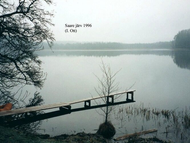 Maakond: Jõgevamaa Veekogu nimi: Saadjärv Pildistamise aeg: 1996 Pildistaja: I. Ott Pildistamise koht: teadmata Asimuut: