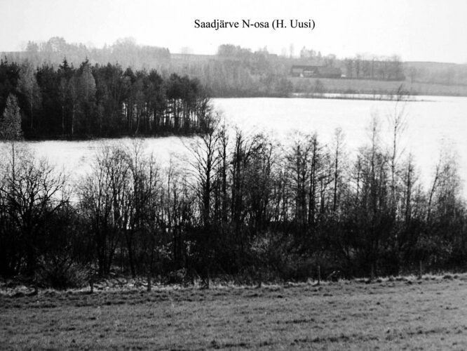 Maakond: Jõgevamaa Veekogu nimi: Saadjärv Pildistamise aeg: teadmata Pildistaja: H. Uusi (Eesti Looduse arhiiv) Pildistamise koht: N osa S kaldalt N Asimuut: