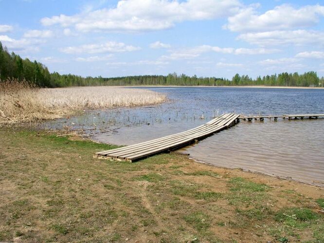 Maakond: Jõgevamaa Veekogu nimi: Saadjärv Pildistamise aeg: 11. mai 2006 Pildistaja: H. Timm Pildistamise koht: Tabivere Asimuut: