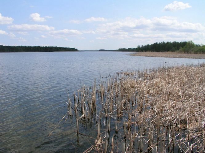 Maakond: Jõgevamaa Veekogu nimi: Saadjärv Pildistamise aeg: 11. mai 2006 Pildistaja: H. Timm Pildistamise koht: Tabivere Asimuut: