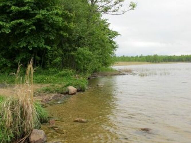 Maakond: Jõgevamaa Veekogu nimi: Saadjärv Pildistamise aeg: 27. mai 2010 Pildistaja: H. Timm Pildistamise koht: Kalda rand Asimuut: