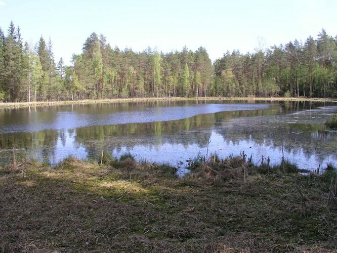 Maakond: Jõgevamaa Veekogu nimi: Saare Lutikajärv Pildistamise aeg: 17. mai 2006 Pildistaja: H. Timm Pildistamise koht: teadmata Asimuut: