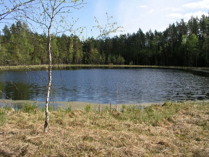 Maakond: Jõgevamaa Veekogu nimi: Saare Lutikajärv Pildistamise aeg: 17. mai 2006 Pildistaja: H. Timm Pildistamise koht: teadmata Asimuut: