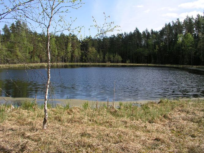 Maakond: Jõgevamaa Veekogu nimi: Saare Lutikajärv Pildistamise aeg: 17. mai 2006 Pildistaja: H. Timm Pildistamise koht: teadmata Asimuut: