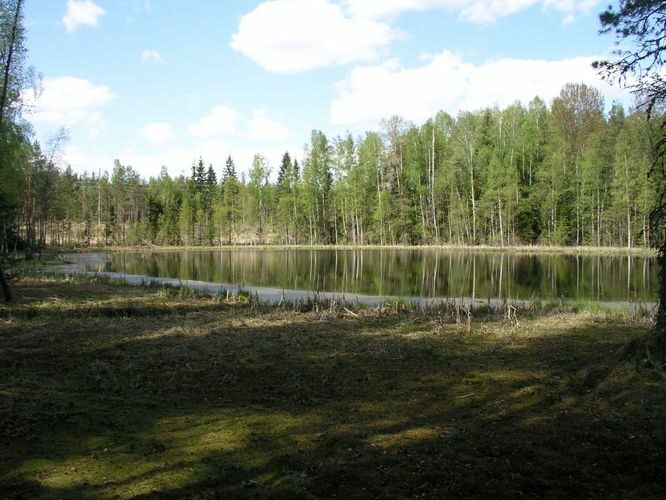 Maakond: Jõgevamaa Veekogu nimi: Saare Lutikajärv Pildistamise aeg: 17. mai 2006 Pildistaja: H. Timm Pildistamise koht: teadmata Asimuut: