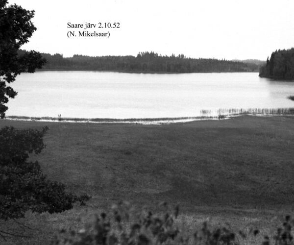 Maakond: Jõgevamaa Veekogu nimi: Saare järv Pildistamise aeg: 2. oktoober 1952 Pildistaja: N. Mikelsaar Pildistamise koht: N kaldalt Asimuut: SSE