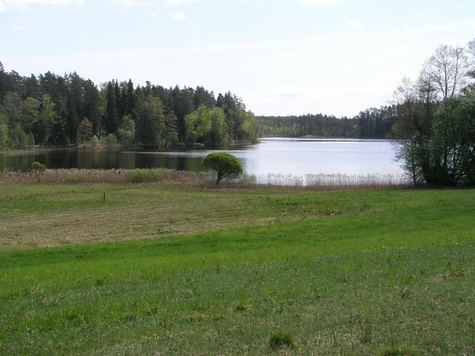 Maakond: Jõgevamaa Veekogu nimi: Saare järv Pildistamise aeg: 17. mai 2006 Pildistaja: H. Timm Pildistamise koht: teadmata Asimuut: