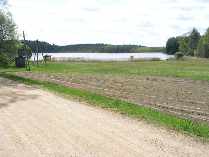 Maakond: Jõgevamaa Veekogu nimi: Saare järv Pildistamise aeg: 17. mai 2006 Pildistaja: H. Timm Pildistamise koht: teadmata Asimuut: