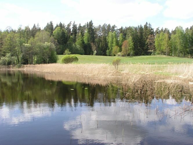 Maakond: Jõgevamaa Veekogu nimi: Saare järv Pildistamise aeg: 17. mai 2006 Pildistaja: H. Timm Pildistamise koht: teadmata Asimuut: