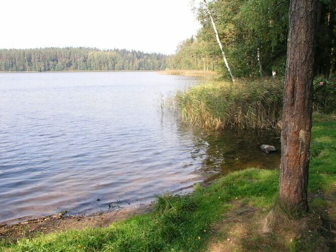 Maakond: Jõgevamaa Veekogu nimi: Saare järv Pildistamise aeg: 28. september 2006 Pildistaja: H. Timm Pildistamise koht: teadmata Asimuut: