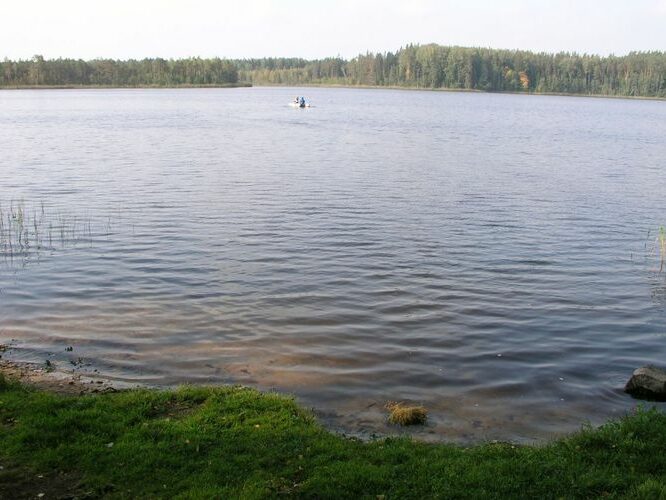 Maakond: Jõgevamaa Veekogu nimi: Saare järv Pildistamise aeg: 28. september 2006 Pildistaja: H. Timm Pildistamise koht: teadmata Asimuut: