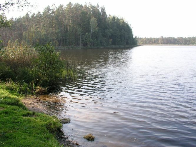 Maakond: Jõgevamaa Veekogu nimi: Saare järv Pildistamise aeg: 28. september 2006 Pildistaja: H. Timm Pildistamise koht: teadmata Asimuut: