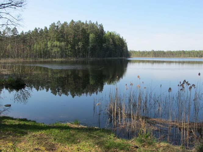 Maakond: Jõgevamaa Veekogu nimi: Saare järv Pildistamise aeg: 15. mai 2010 Pildistaja: H. Timm Pildistamise koht: teadmata Asimuut: