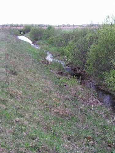 Maakond: Järvamaa Veekogu nimi: Sääsküla oja Pildistamise aeg: 13. mai 2009 Pildistaja: H. Timm Pildistamise koht: Kurisoo Asimuut: