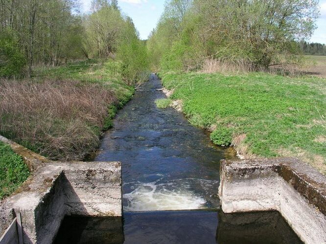 Maakond: Järvamaa Veekogu nimi: Sääsküla oja Pildistamise aeg: 13. mai 2009 Pildistaja: H. Timm Pildistamise koht: alamjooks Asimuut: