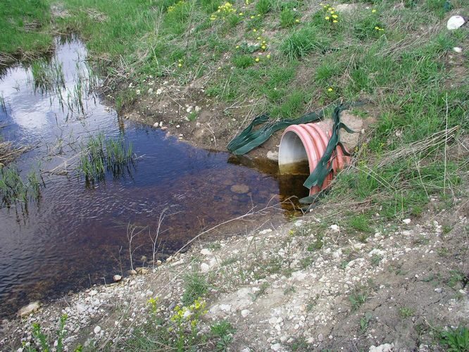 Maakond: Järvamaa Veekogu nimi: Sääsküla jõgi Pildistamise aeg: 13. mai 2009 Pildistaja: H. Timm Pildistamise koht: Kurisoo Asimuut: