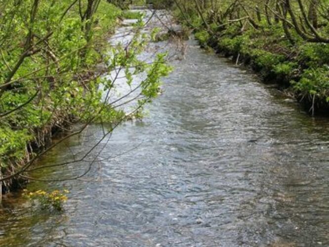 Maakond: Järvamaa Veekogu nimi: Sääsküla oja Pildistamise aeg: 13. mai 2009 Pildistaja: H. Timm Pildistamise koht: alamjooks Asimuut: