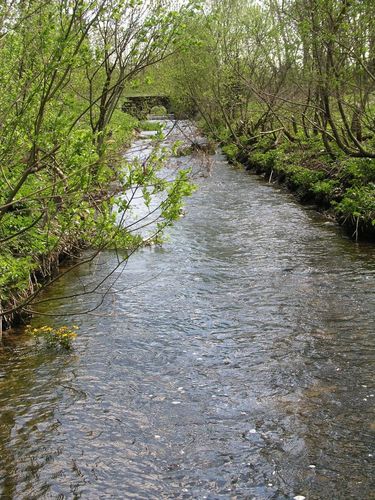 Maakond: Järvamaa Veekogu nimi: Sääsküla oja Pildistamise aeg: 13. mai 2009 Pildistaja: H. Timm Pildistamise koht: alamjooks Asimuut: