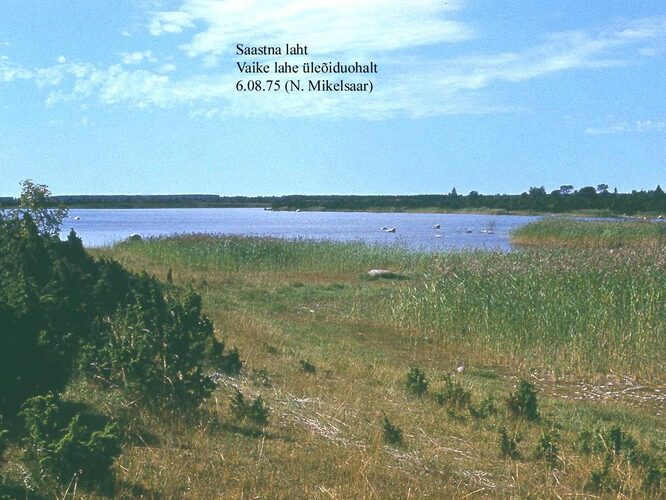 Maakond: Saaremaa Veekogu nimi: Saastna laht Pildistamise aeg: 6. august 1975 Pildistaja: N. Mikelsaar Pildistamise koht: Vaike lahe Asimuut: