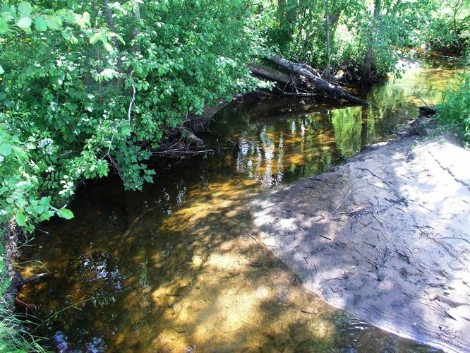 Maakond: Põlvamaa Veekogu nimi: Tamme oja Pildistamise aeg: 30. juuni 2005 Pildistaja: H. Timm Pildistamise koht: enne Kooraste Pikkjärve Asimuut: