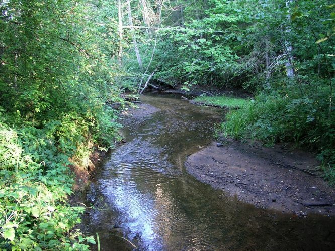 Maakond: Põlvamaa Veekogu nimi: Tamme oja Pildistamise aeg: august 2006 Pildistaja: H. Timm Pildistamise koht: allpool Liinujärve Asimuut: