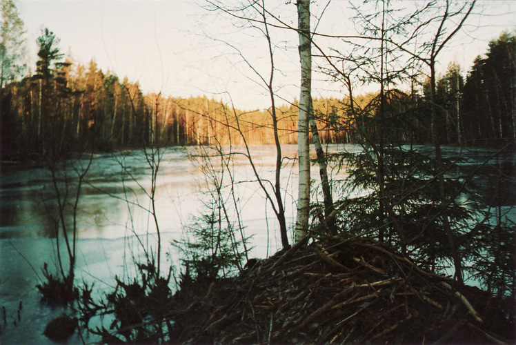 Maakond: Põlvamaa Veekogu nimi: Sanksaare järv Pildistamise aeg: 17. jaanuar 2007 Pildistaja: Asta Pintsaar Pildistamise koht: tee Asimuut: