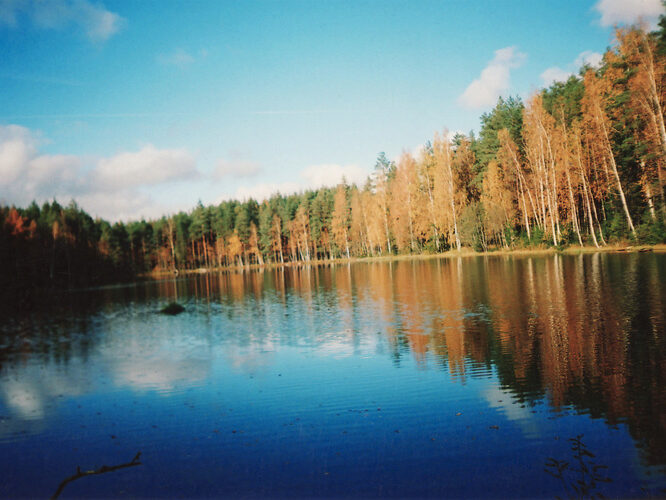 Maakond: Põlvamaa Veekogu nimi: Sanksaare järv Pildistamise aeg: 8. oktoober 2008 Pildistaja: Asta Pintsaar Pildistamise koht: teepoolsest k Asimuut: