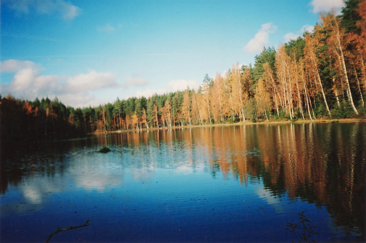 Maakond: Põlvamaa Veekogu nimi: Sanksaare järv Pildistamise aeg: 8. oktoober 2008 Pildistaja: Asta Pintsaar Pildistamise koht: teepoolsest k Asimuut: