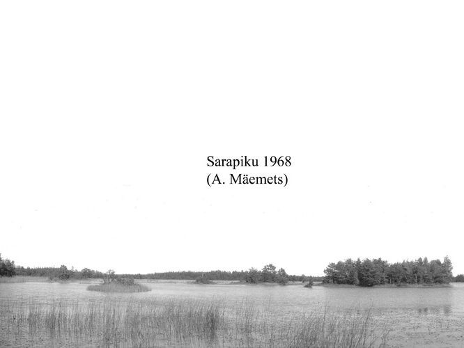 Maakond: Saaremaa Veekogu nimi: Sarapiku järv Pildistamise aeg: 1968 Pildistaja: A. Mäemets Pildistamise koht: teadmata Asimuut: