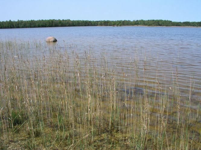 Maakond: Saaremaa Veekogu nimi: Sarapiku järv Pildistamise aeg: 29. mai 2003 Pildistaja: H. Timm Pildistamise koht: teadmata Asimuut: